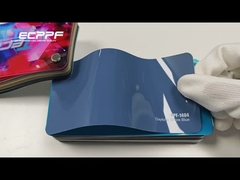 Daytona Shore Blue PPF: Stunning Paint Protection with a Premium Finish!